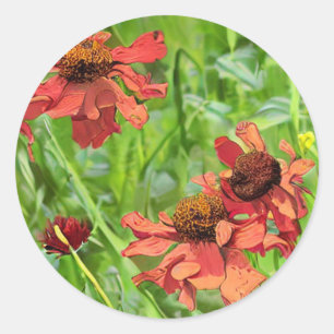 RED RUDBECKIA FLOWERS CLASSIC ROUND STICKER
