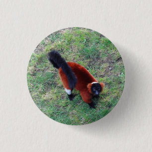 Red Ruffed Lemur #1 Pinback Button