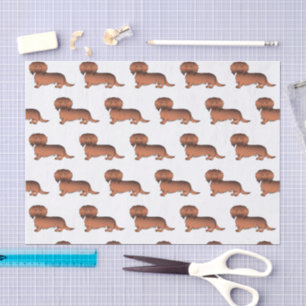 Red Sable Long Hair Dachshund Cartoon Dog Pattern Tissue Paper