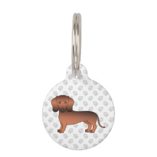 Red Sable Smooth Hair Dachshund Dog Illustration Pet Tag