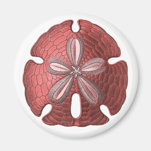 Red Sand Dollar Magnet (Front)