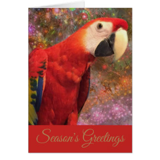 Red Scarlet Macaw Parrot Holiday Season Card
