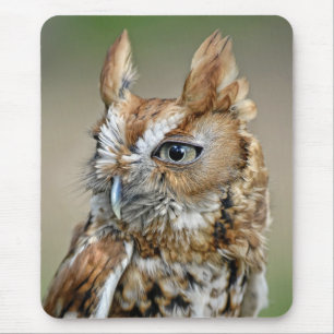 Red Screech Owl Mouse Mat
