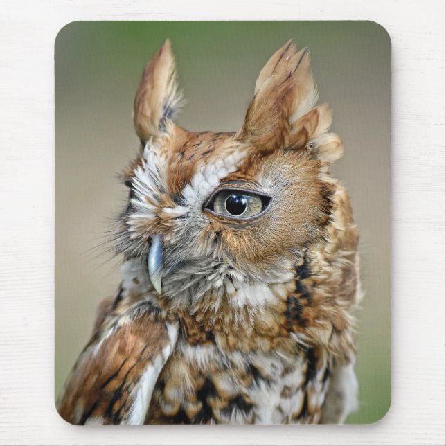 Red Screech Owl Mouse Mat (Front)
