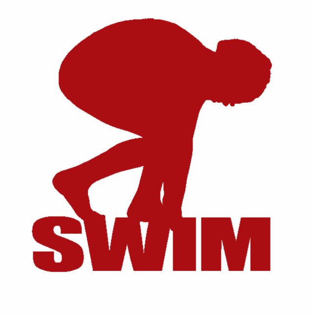 RED SCULPTURE SWIMMER KEY CHAIN PHOTO SCULPTURE KEY RING (Front)