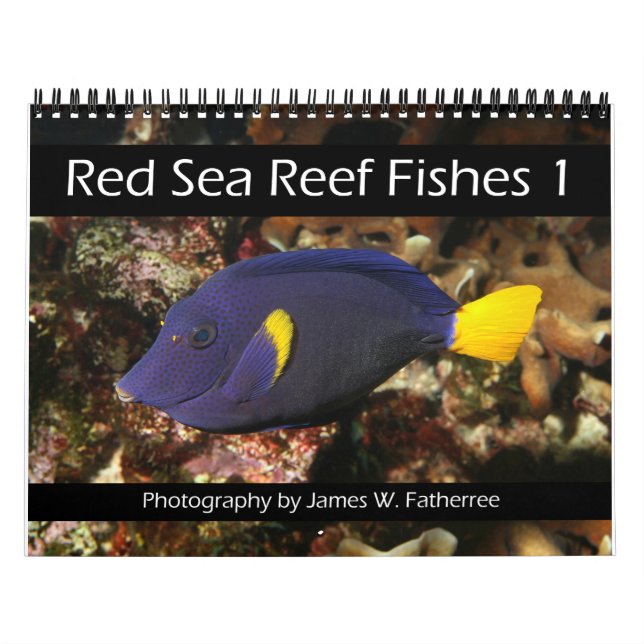 Red Sea Reef Fishes 1 Calendar (Cover)