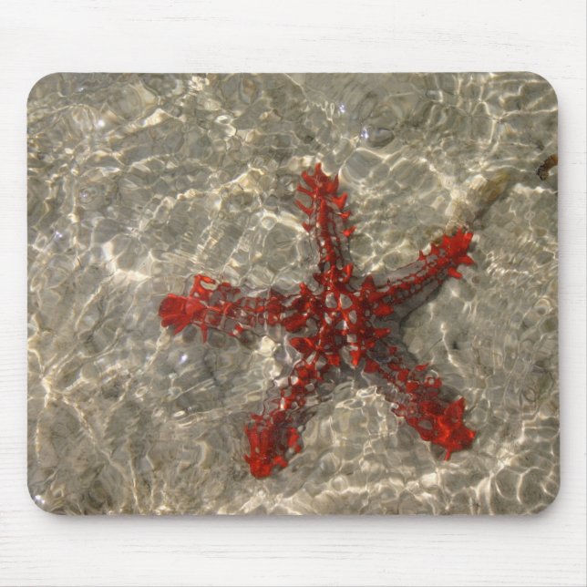 Red Sea Star - Mousepad (Front)