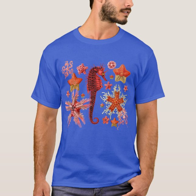 RED SEAHORSE AND SEASTARS IN AQUA BLUE Sea Life T-Shirt (Front)