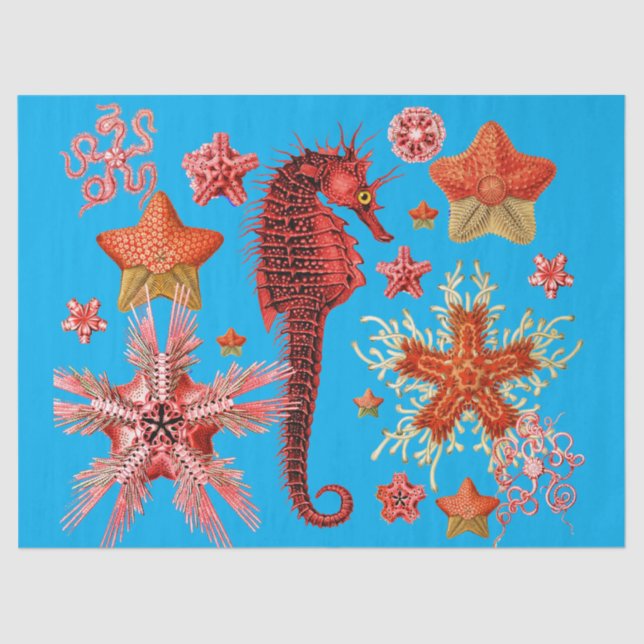 RED SEAHORSE AND SEASTARS IN AQUA BLUE Sea Life Tissue Paper (Front)