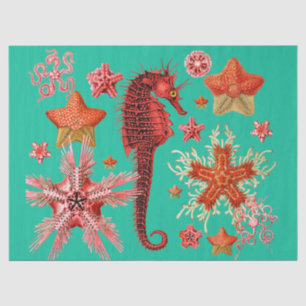 RED SEAHORSE AND SEASTARS IN AQUA BLUE Sea Life Tissue Paper