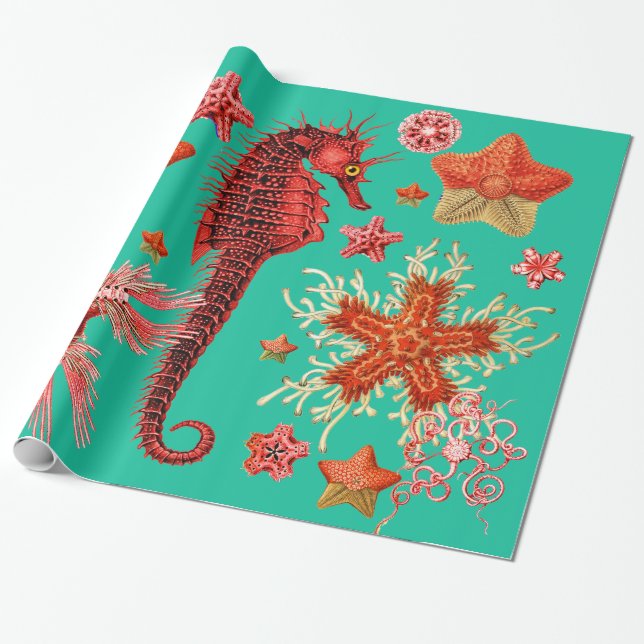 RED SEAHORSE AND SEASTARS IN AQUA BLUE Sea Life Wrapping Paper (Unrolled)