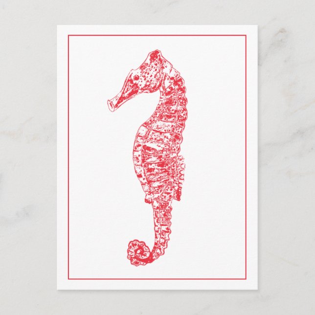 Red seahorse animal illustration sea life minimal postcard (Front)
