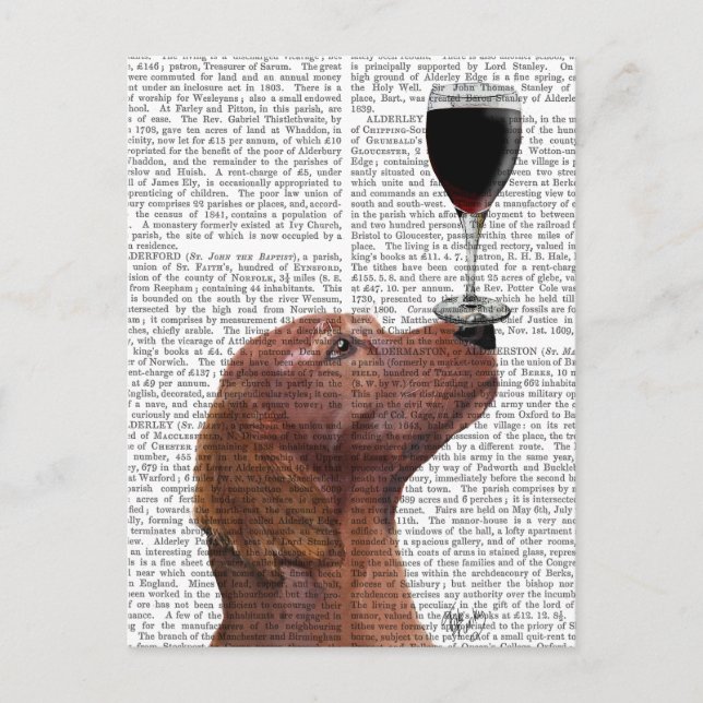 Red Setter Dog Au Vin Postcard (Front)