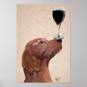 Red Setter Dog Au Vin Poster