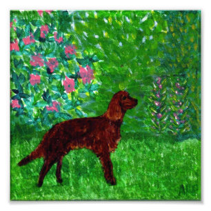Red Setter in the Garden Dog Art Photo Print