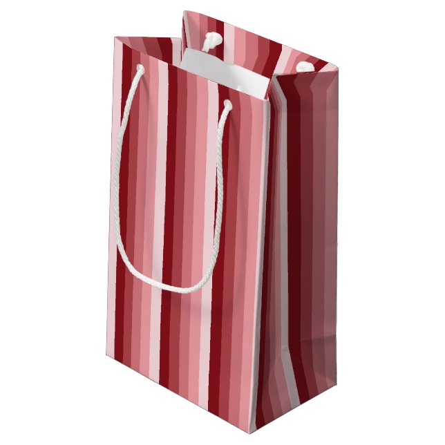 Red shadow stripes small gift bag (Back Angled)