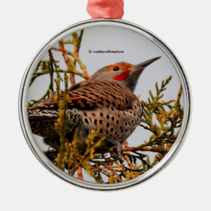 Red-Shafted Northern Flicker Woodpecker in a Tree Metal Tree Decoration