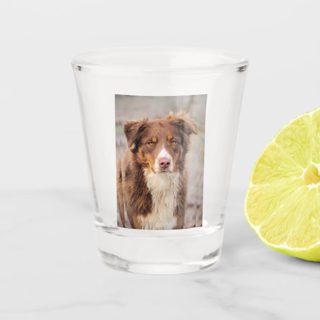 Red Shot Glass (Front)