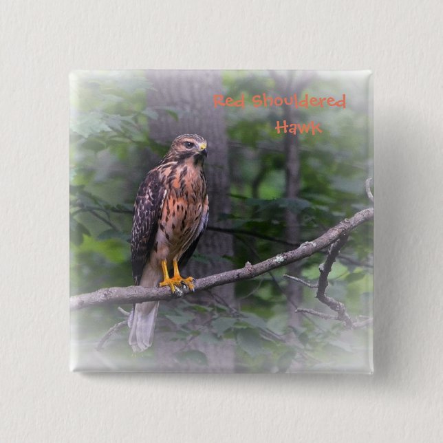 Red Shouldered Hawk 15 Cm Square Badge (Front)