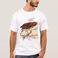 Red-Shouldered Hawk, adult