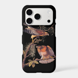 Red Shouldered Hawk Audubon Bird of Prey