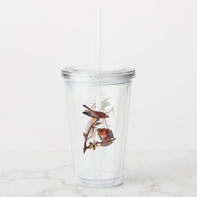 Red Shouldered Hawk Audubon Bird of Prey Acrylic Tumbler (Front)