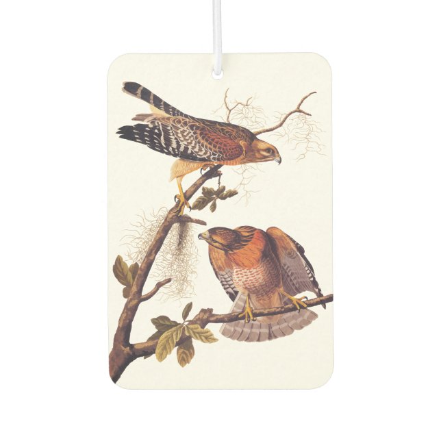 Red Shouldered Hawk Audubon Bird of Prey Car Air Freshener (Front)