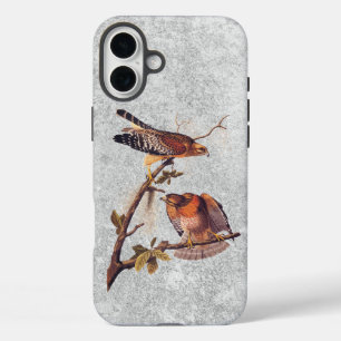 Red Shouldered Hawk Audubon Bird of Prey iPhone 16 Plus Case