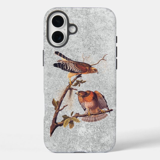 Red Shouldered Hawk Audubon Bird of Prey Case-Mate iPhone Case (Back)