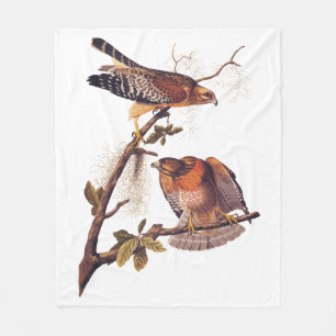 Red Shouldered Hawk Audubon Bird of Prey Fleece Blanket