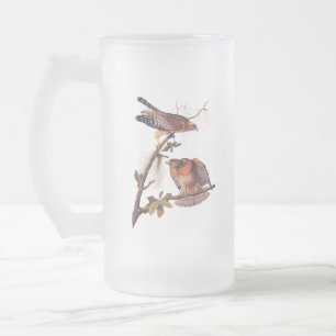 Red Shouldered Hawk Audubon Bird of Prey Frosted Glass Beer Mug
