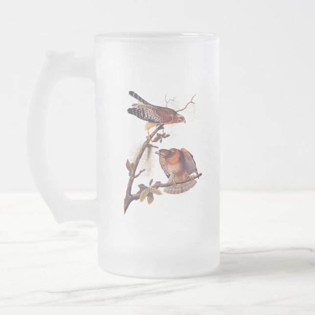 Red Shouldered Hawk Audubon Bird of Prey Frosted Glass Beer Mug (Left)