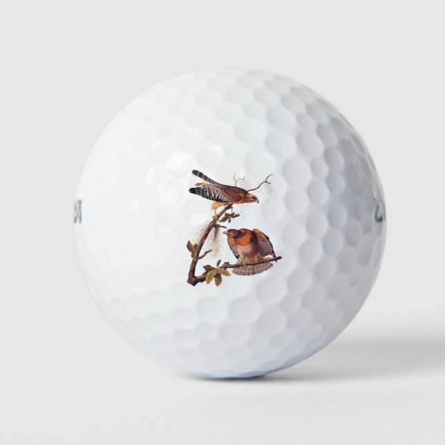 Red Shouldered Hawk Audubon Bird of Prey Golf Balls (Front)