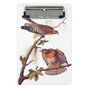 Red Shouldered Hawk Audubon Bird of Prey Mini Clipboard