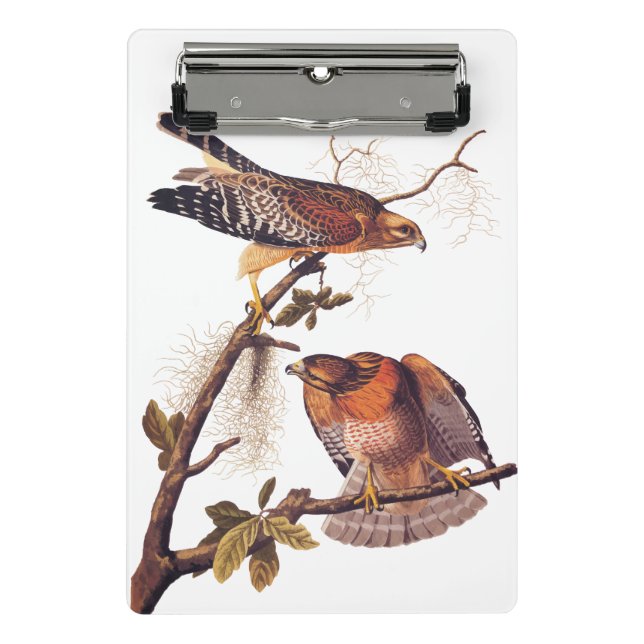 Red Shouldered Hawk Audubon Bird of Prey Mini Clipboard (Front)