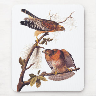 Red Shouldered Hawk Audubon Bird of Prey Mouse Mat