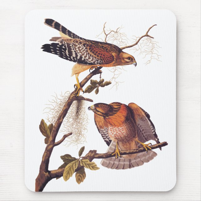 Red Shouldered Hawk Audubon Bird of Prey Mouse Mat (Front)