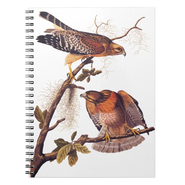 Red Shouldered Hawk Audubon Bird of Prey Notebook (Front)
