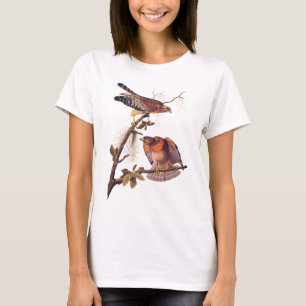 Red Shouldered Hawk Audubon Bird of Prey T-Shirt