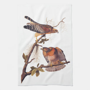 Red Shouldered Hawk Audubon Bird of Prey Tea Towel