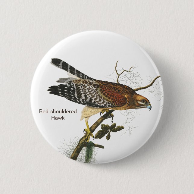 Red-shouldered Hawk, Audubon, Birdwatcher's Bird 6 Cm Round Badge (Front)