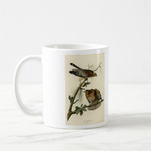 Red-shouldered Hawk - Audubon's Birds of America Coffee Mug