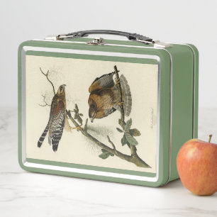 Red-shouldered Hawk - Audubon's Birds of America Metal Lunch Box