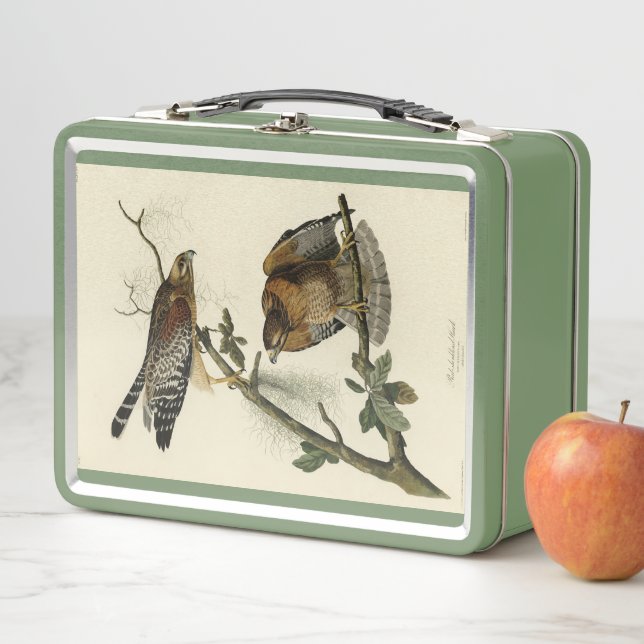 Red-shouldered Hawk - Audubon's Birds of America Metal Lunch Box (In Situ)