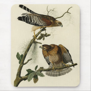 Red-shouldered Hawk - Audubon's Birds of America Mouse Mat