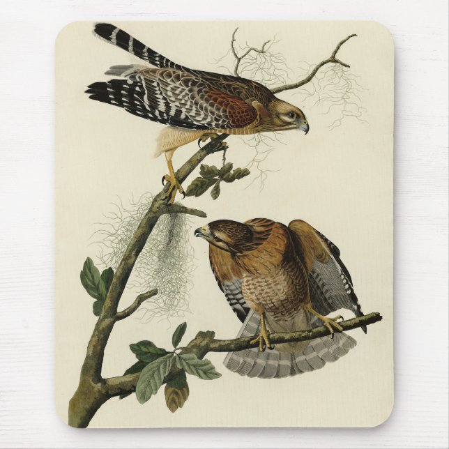 Red-shouldered Hawk - Audubon's Birds of America Mouse Mat (Front)