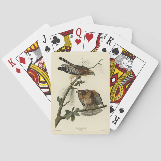Red-shouldered Hawk - Audubon's Birds of America Playing Cards (Back)