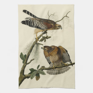 Red-shouldered Hawk - Audubon's Birds of America Tea Towel