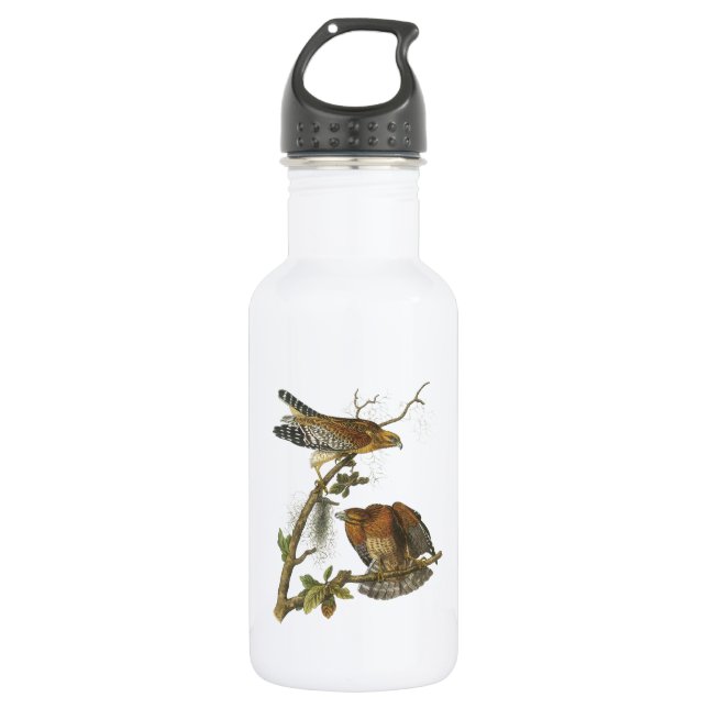 Red-shouldered Hawk by Audubon 532 Ml Water Bottle (Front)