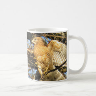 Red-shouldered Hawk Coffee Mug